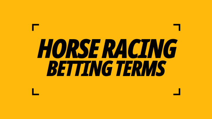Horse Racing Betting Terms